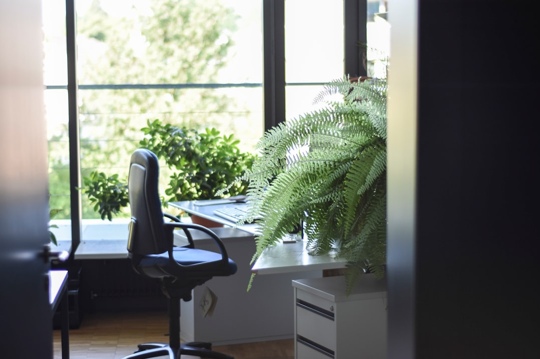 stoel met planten