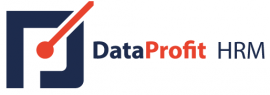 dataprofit