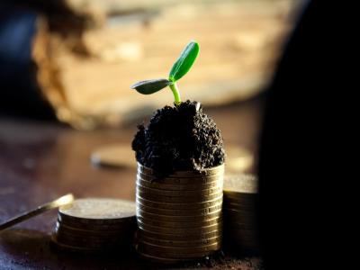 Een klein plantje groeit uit een stapel munten met aarde eromheen, symboliserend financiële groei.