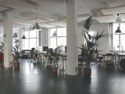Ruim, licht kantoor met PVC vloer, moderne bureaus en planten voor een frisse, professionele werkomgeving.