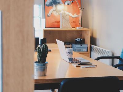 Ergonomische werkplek met laptop, bureaustoel, cactus en kunstposter op achtergrond.