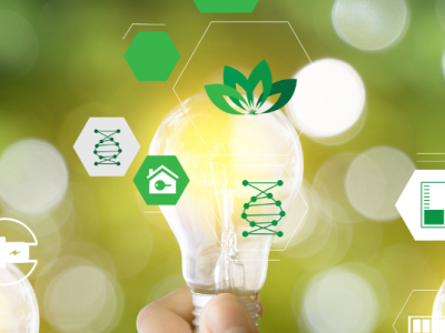 Hand houdt een gloeilamp vast omringd door groene duurzame energie-icoontjes op een wazige, groene achtergrond.