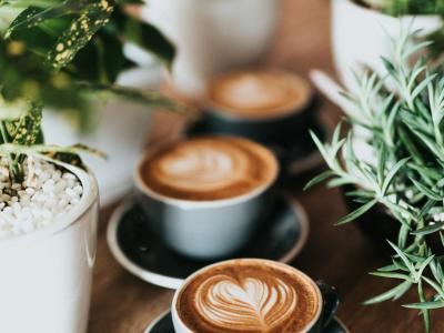 Drie kopjes cappuccino met latte art op een houten tafel, omringd door groene planten.