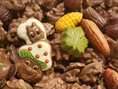 Een variëteit aan chocolaatjes met kleurrijke, speelse vormen van dieren en planten.