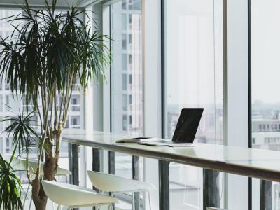 Lichte kantoorruimte met lange tafel, laptops en planten naast grote ramen met uitzicht op de stad.