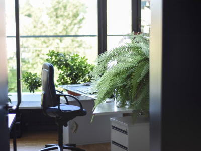 stoel met planten